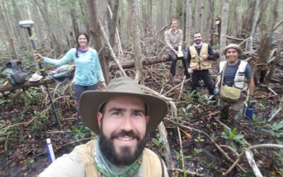 Ghost Forests of the Everglades Reveal Impacts from Irma