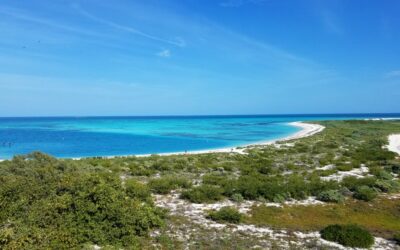 NASA Funds ECU Scientist to Study Coastal Seascapes from Space