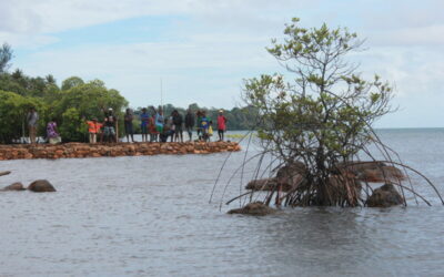 Coastal Adaptations Call for Local Context