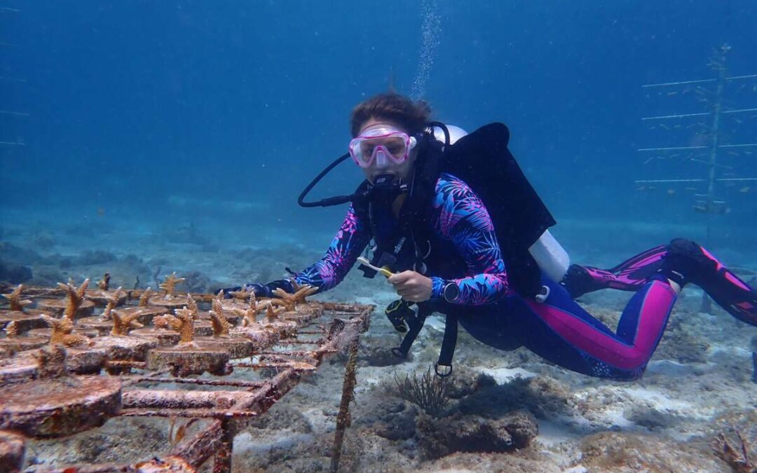 Coral in the Caribbean